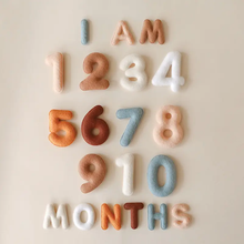 Load image into Gallery viewer, Monthly Milestone Felt Letters - Neutral