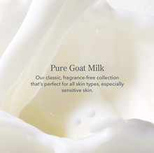 Load image into Gallery viewer, Pure Hand Wash 12.5oz