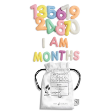 Load image into Gallery viewer, Monthly Milestone Felt Letters - Pastel