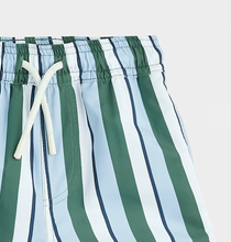 Load image into Gallery viewer, Multistripe Swim Trunk