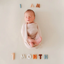 Load image into Gallery viewer, Monthly Milestone Felt Letters - Neutral