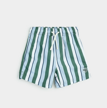 Load image into Gallery viewer, Multistripe Swim Trunk