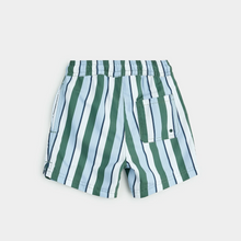 Load image into Gallery viewer, Multistripe Swim Trunk