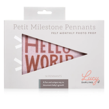 Load image into Gallery viewer, Mountain Fields Baby Milestone Pennant