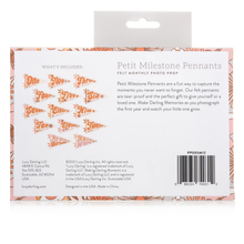 Load image into Gallery viewer, Flower Child Baby Milestone Pennant
