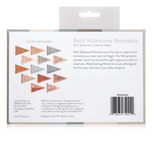 Load image into Gallery viewer, Mountain Fields Baby Milestone Pennant
