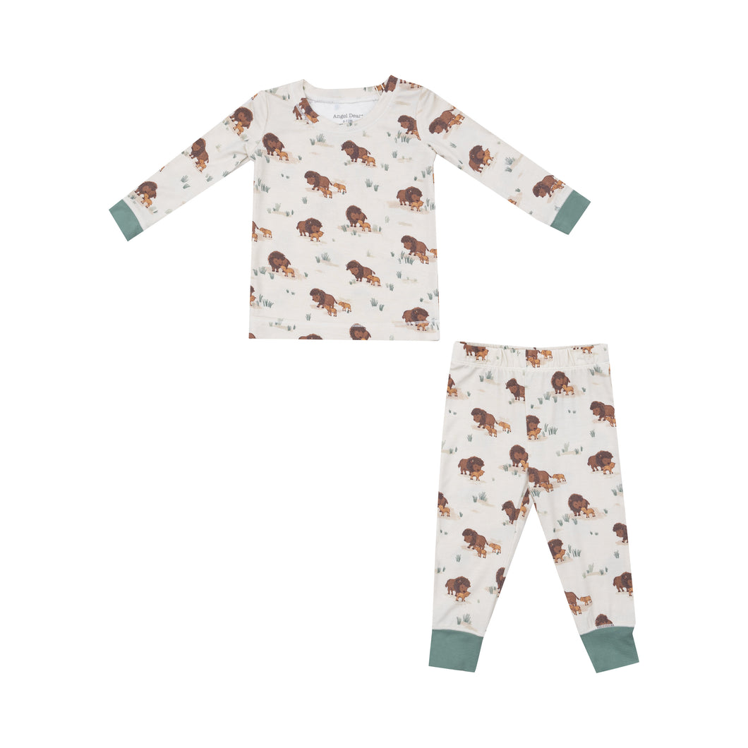 Bison Families Loungewear Set