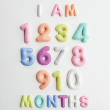 Load image into Gallery viewer, Monthly Milestone Felt Letters - Pastel

