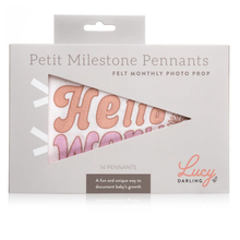 Load image into Gallery viewer, Flower Child Baby Milestone Pennant
