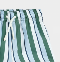 Load image into Gallery viewer, Multistripe Swim Trunk
