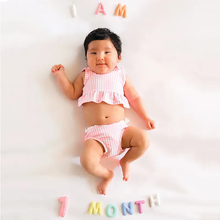 Load image into Gallery viewer, Monthly Milestone Felt Letters - Pastel
