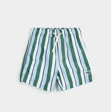 Load image into Gallery viewer, Multistripe Swim Trunk
