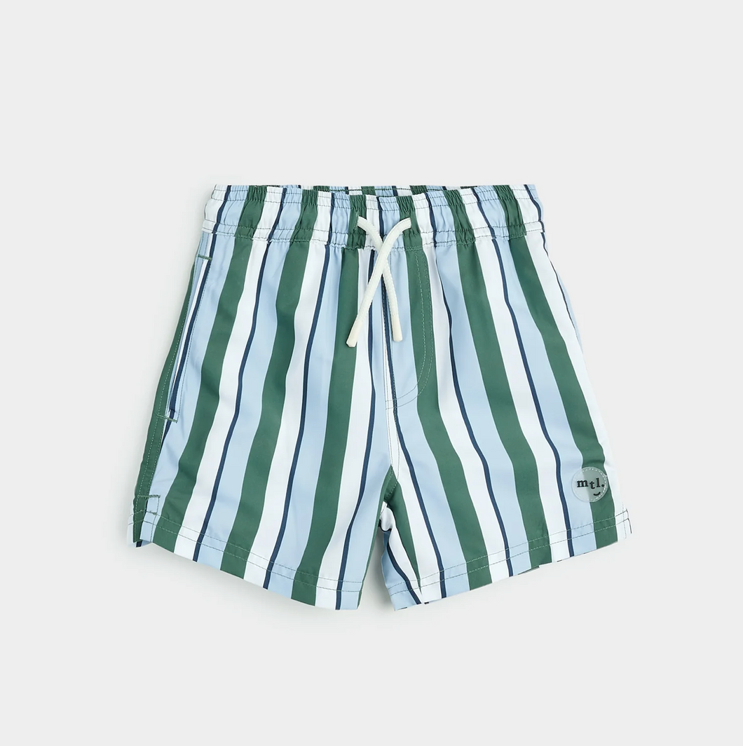 Multistripe Swim Trunk