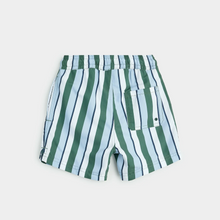 Load image into Gallery viewer, Multistripe Swim Trunk
