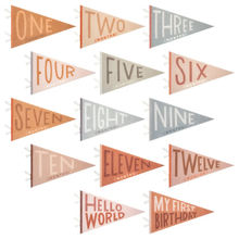 Load image into Gallery viewer, Mountain Fields Baby Milestone Pennant
